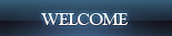 welcome to Intercultural Synergies